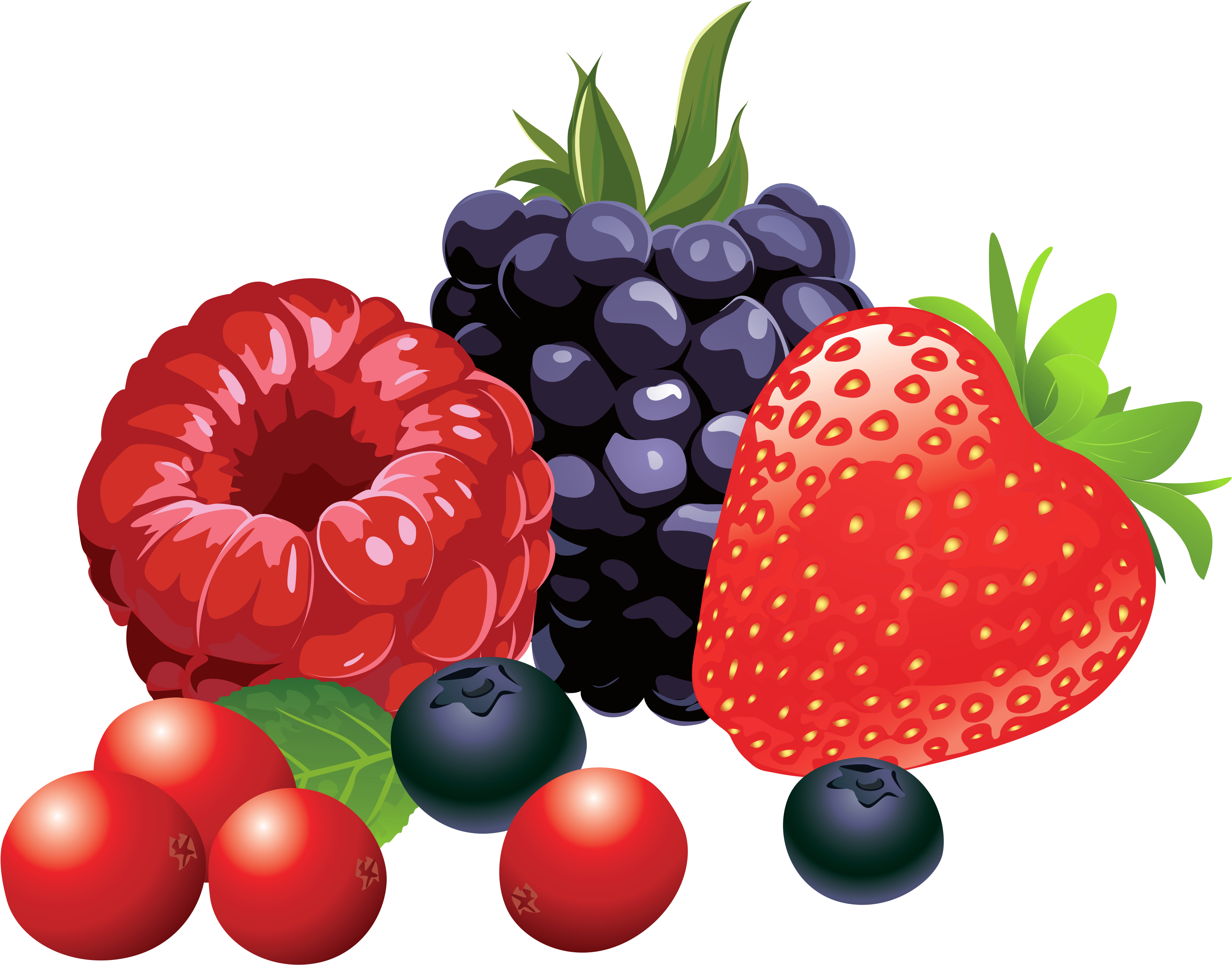 Assorted Berries Illustration PNG with transparent background