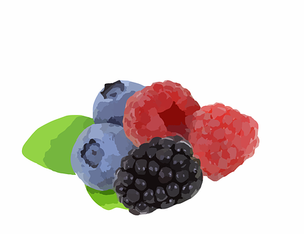 Assorted Berries Illustration PNG with transparent background