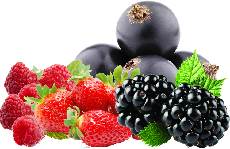 Assorted Berries Transparent Background PNG with transparent background