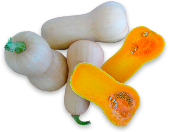 Assorted Butternut Squash Cutand Whole