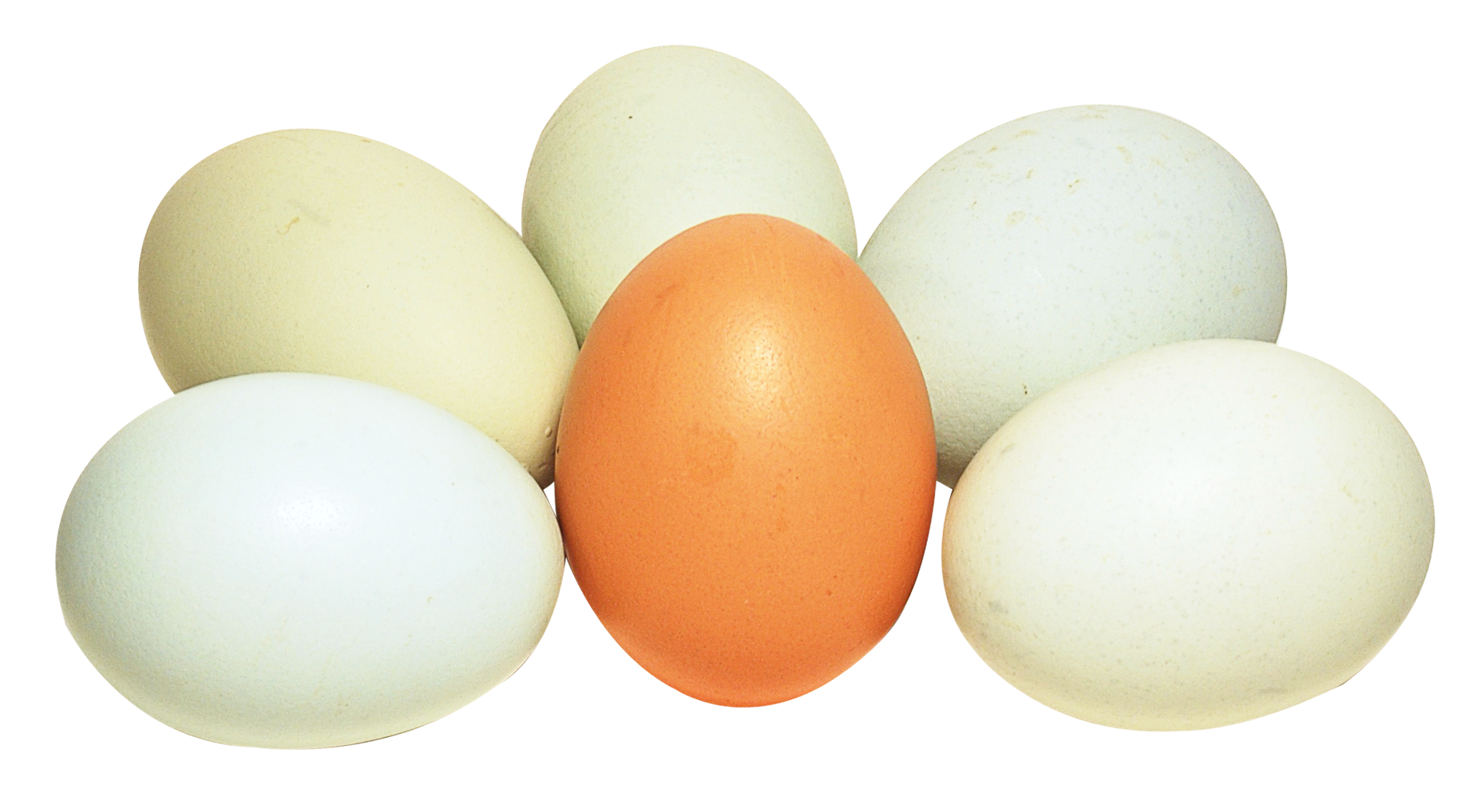 Assorted Chicken Eggs Variety PNG with transparent background