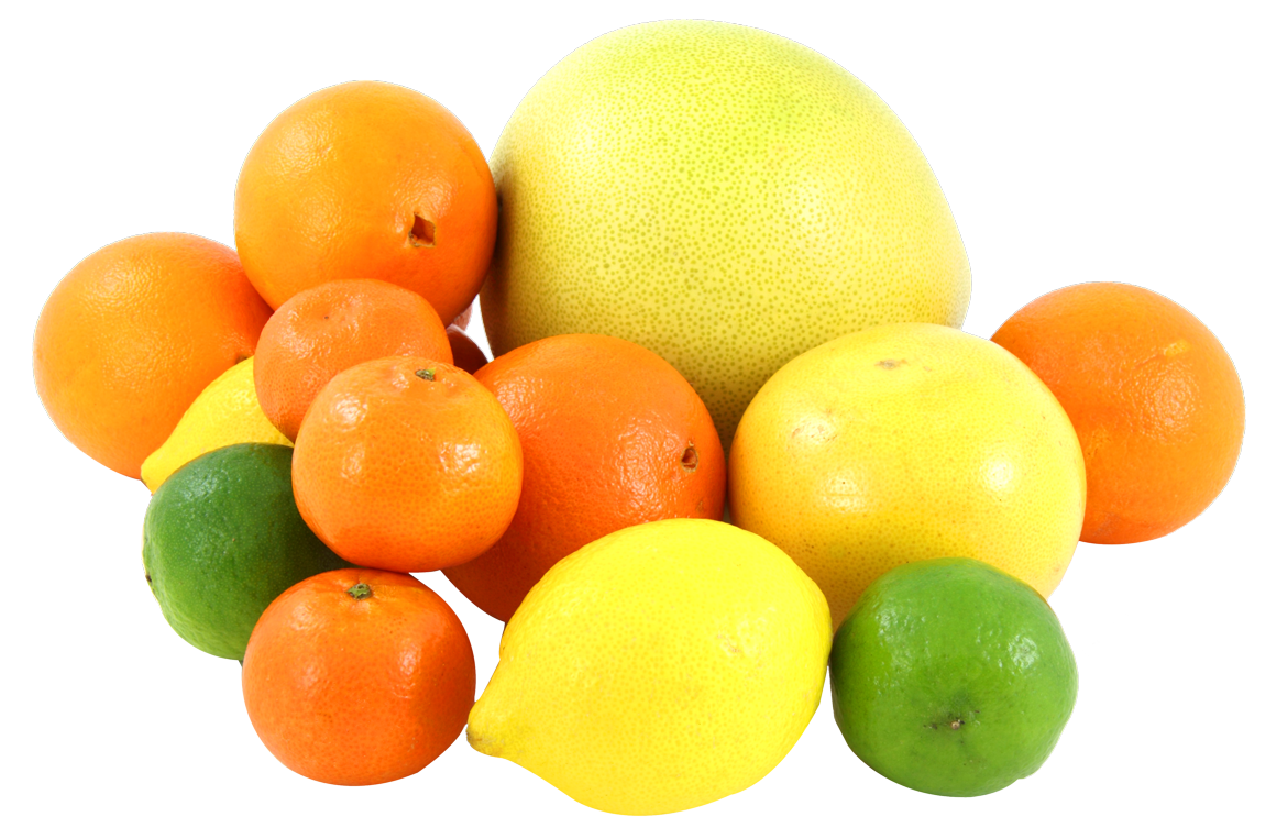 Assorted Citrus Fruits Collection PNG with transparent background