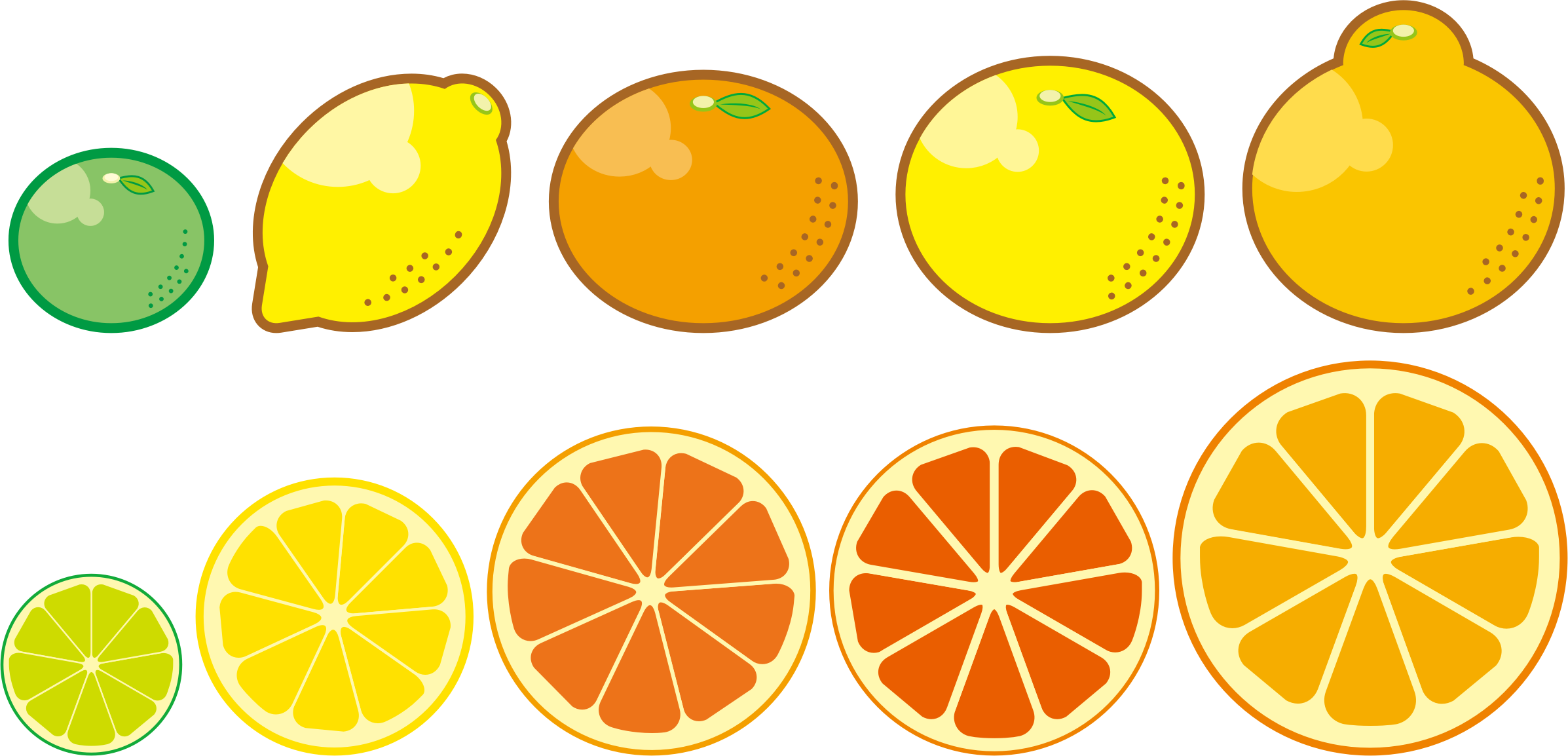 Assorted Citrus Fruits Vector Illustration