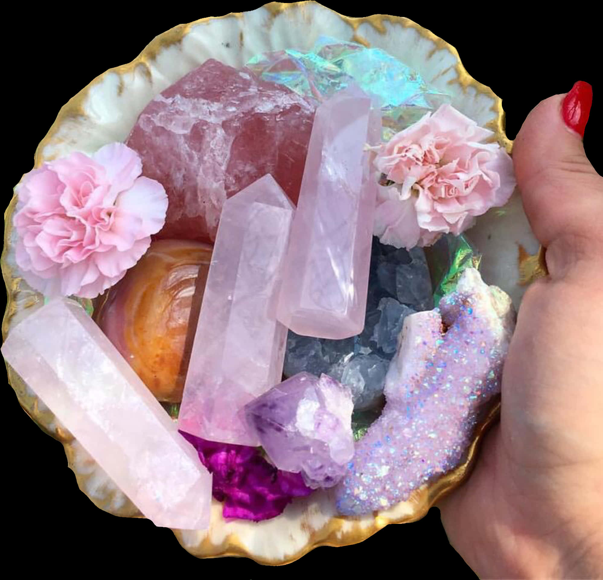 Assorted Crystalsand Flowersin Shell PNG with transparent background