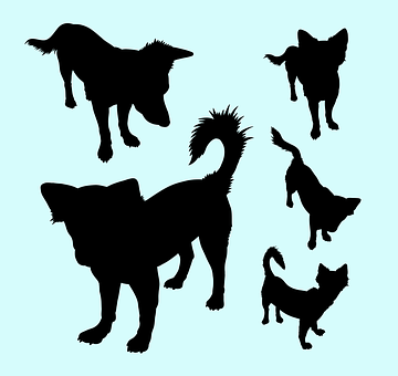 Assorted Dog Silhouettes PNG with transparent background