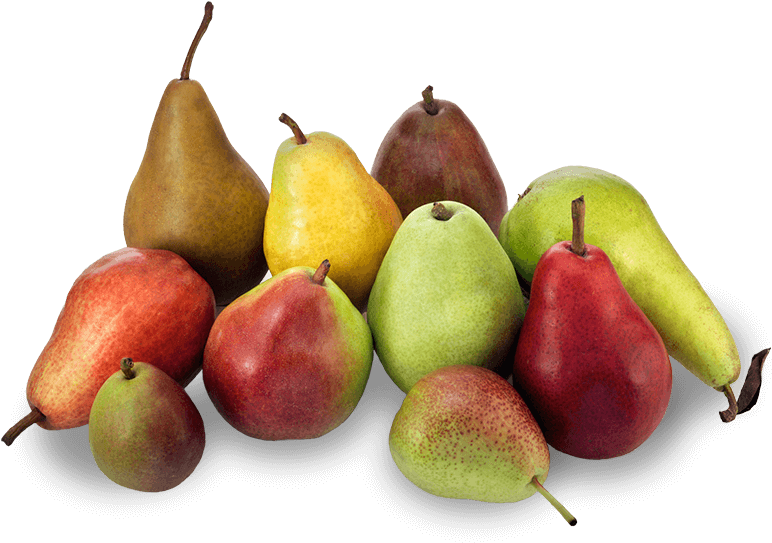 Adults Who Eat Pears Less Likely To Be Obese - 10 Pears, HD Png Download PNG with transparent background