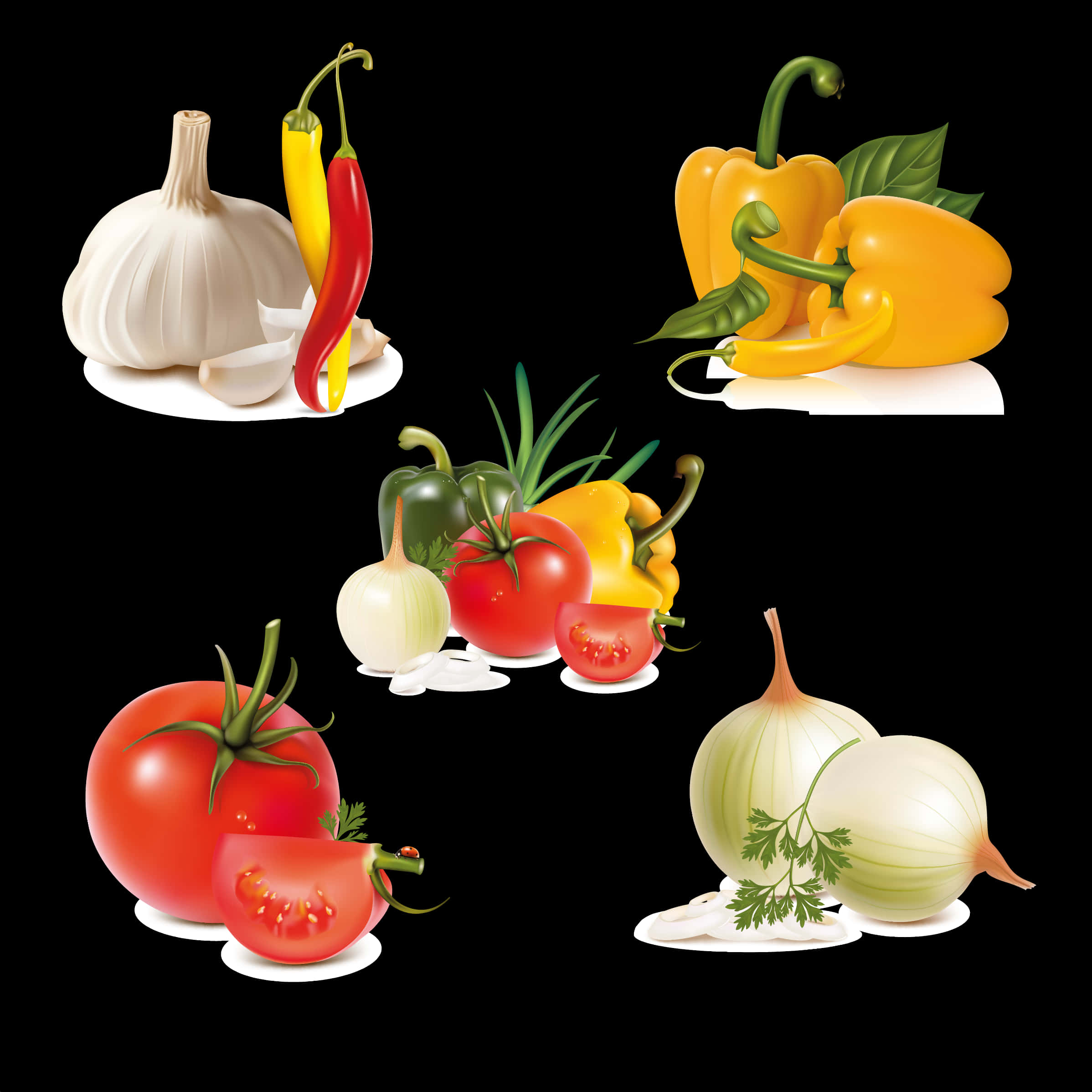 Assorted Fresh Vegetables Graphic