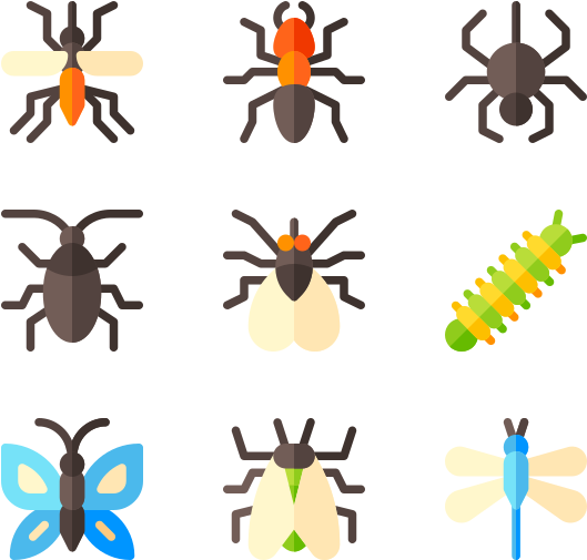 Insects, HD Png Download PNG with transparent background