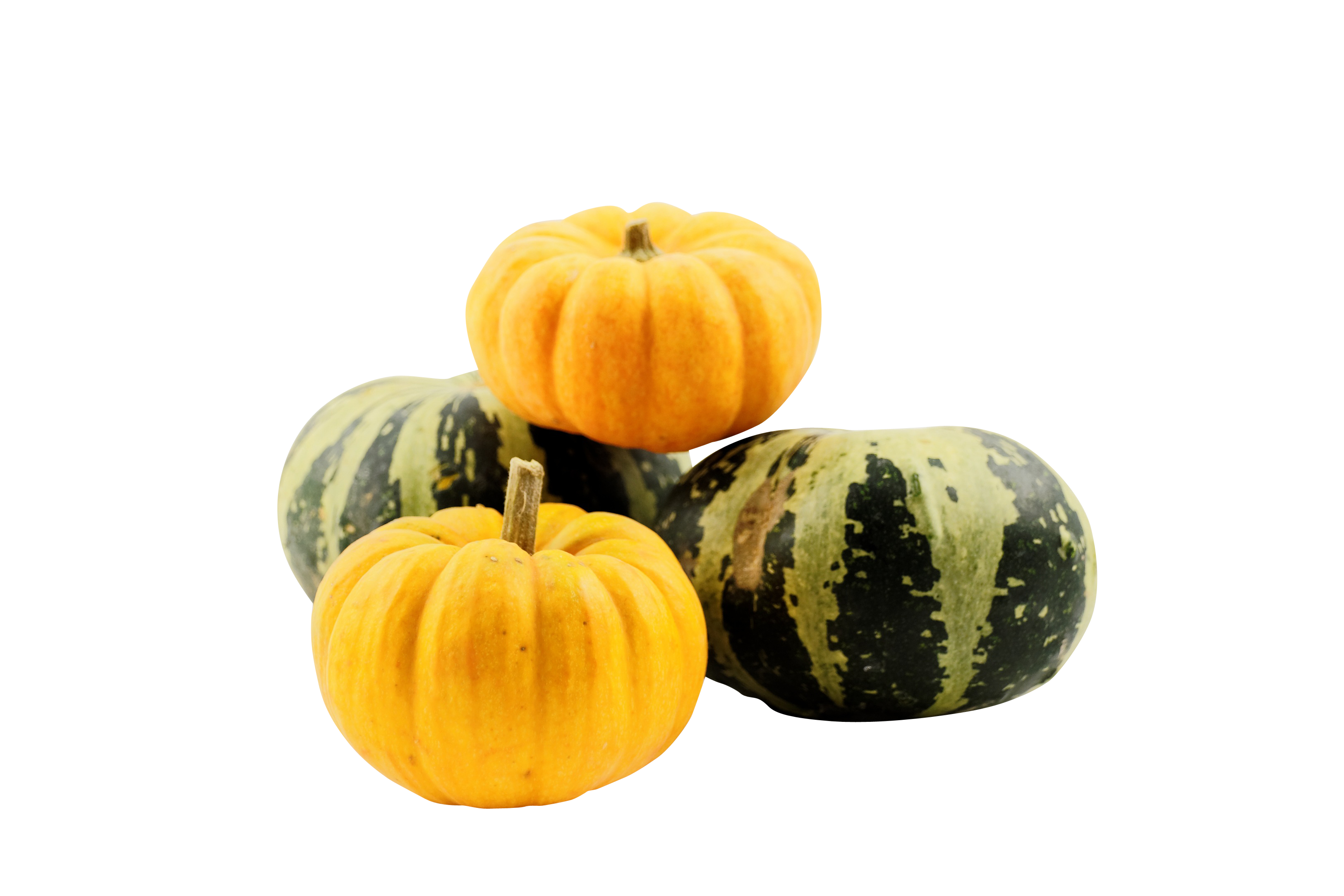 Assorted Mini Pumpkinson Black Background PNG with transparent background
