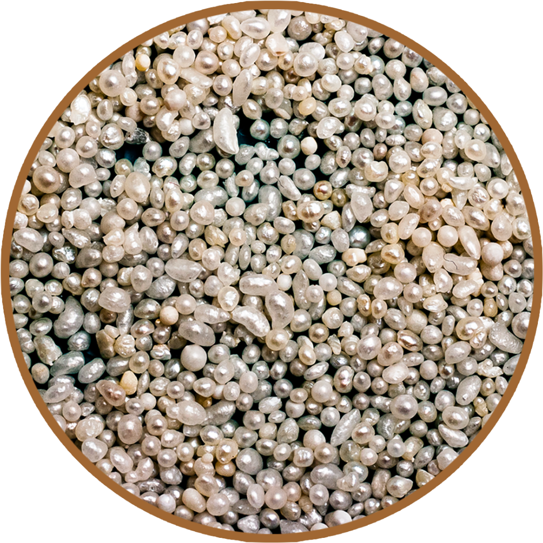 Assorted Pearls Texture PNG with transparent background