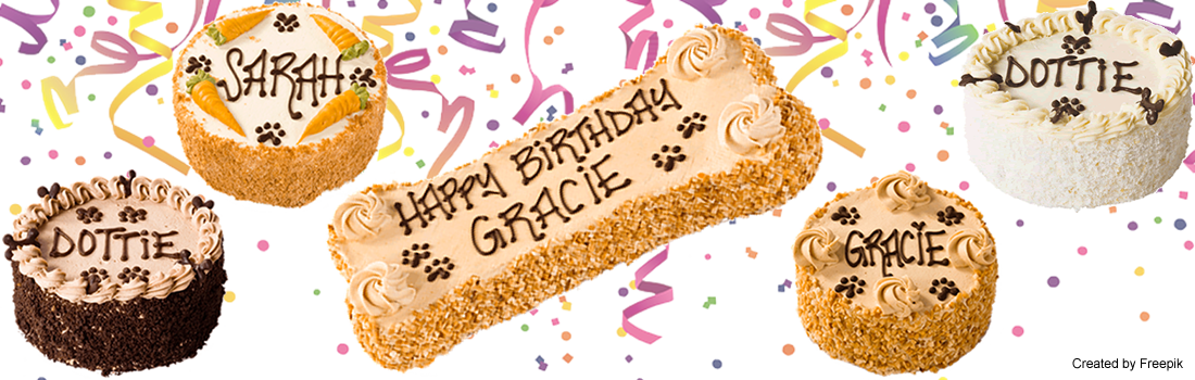 Three Dog Bakery Indianapolis - Dog Bakery Cakes, HD Png Download PNG with transparent background