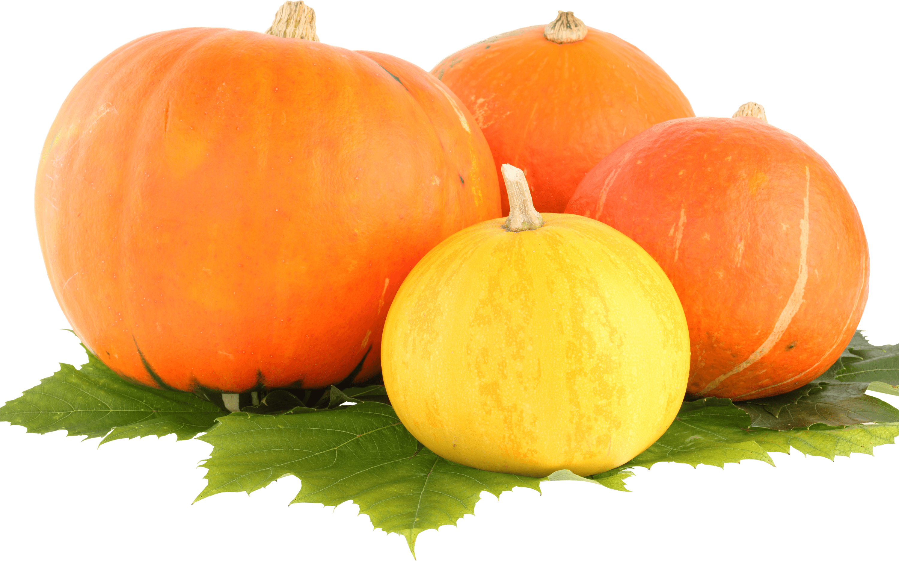Group Pumpkin - Pumpkin Png, Transparent Png PNG with transparent background
