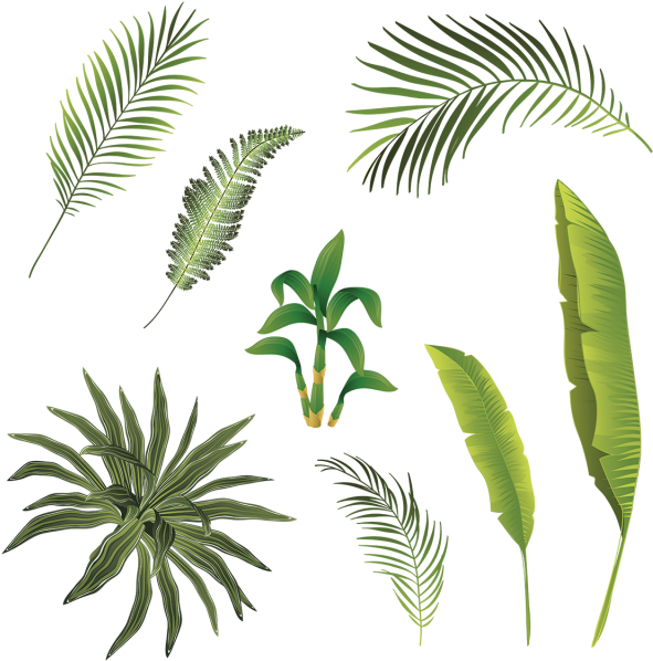 Palm Tree Branch Png - Watercolor Palm Png Transparent, Png Download PNG with transparent background