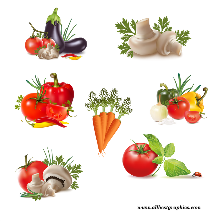 Stunning Healthy And Delicious Vegetables Collection - Transparent Background Vegetables Hd Images Png, Png Download PNG with transparent background