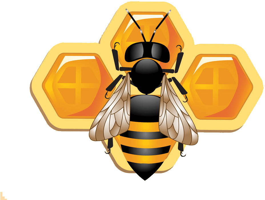Astrological_ Bee_and_ Honeycomb_ Symbols PNG with transparent background