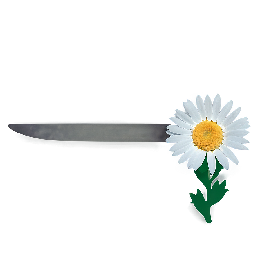 Attractive Daisy Representation Png Ihn