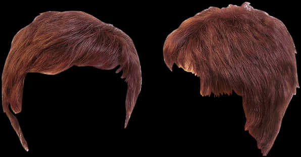 Auburn_ Hair_ Wigs_ Isolated_on_ Black_ Background