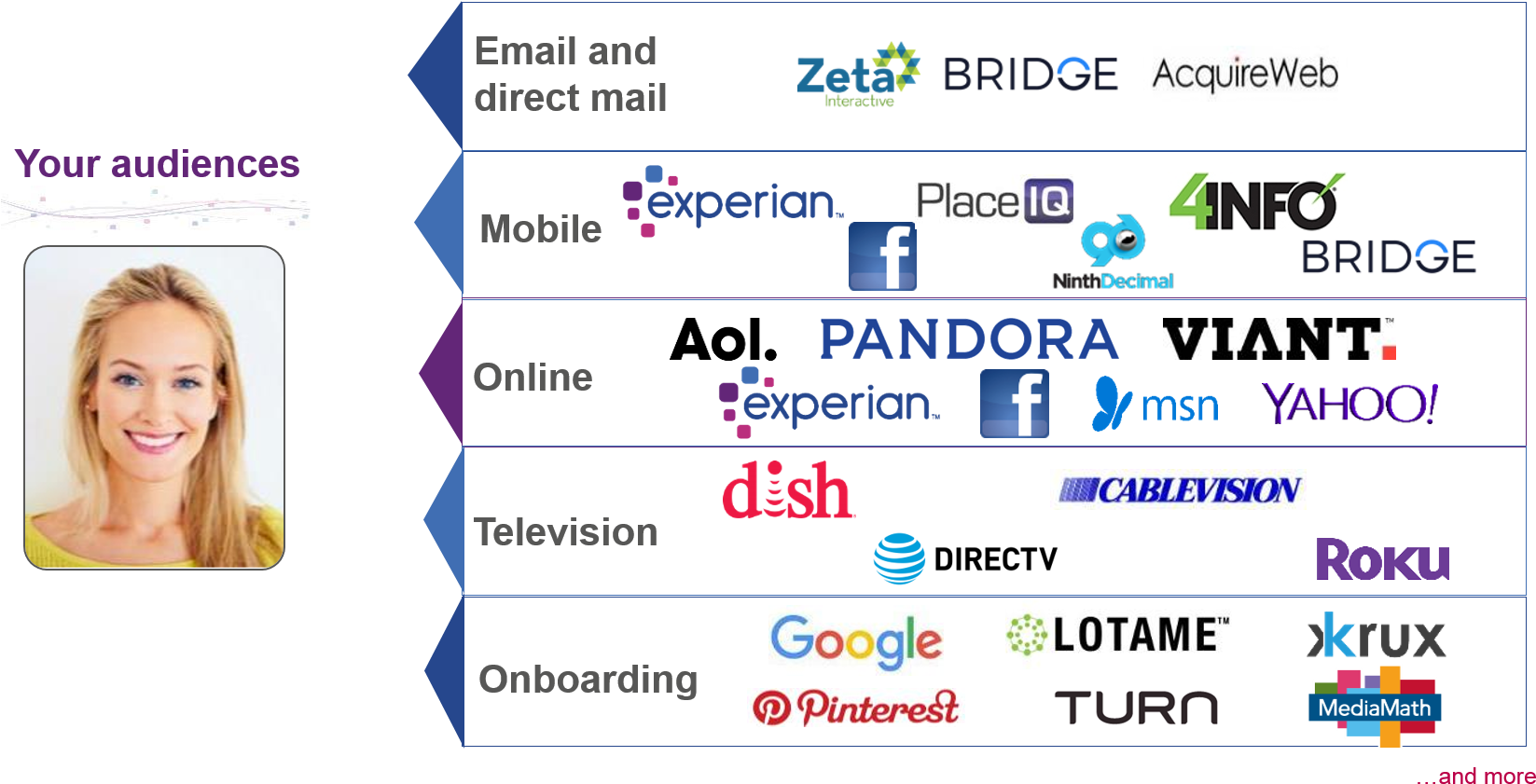 Audience Targeting Platforms Infographic