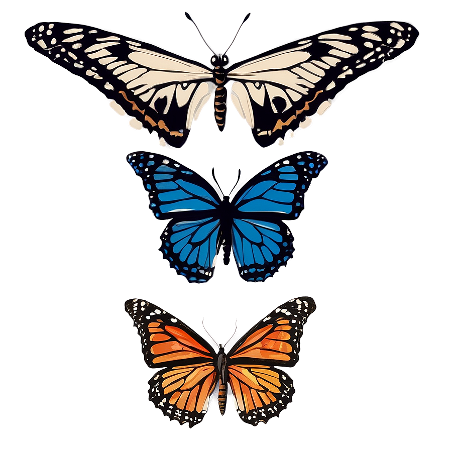 Authentic Butterfly Graphic Png Dgx18