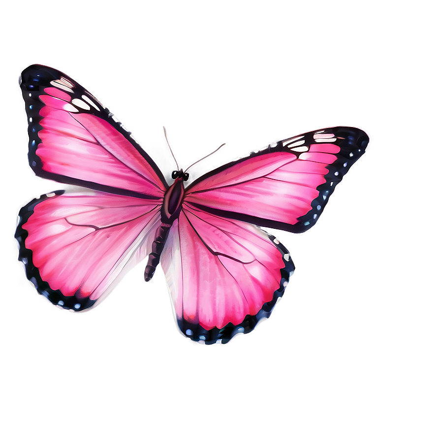 Authentic Pink Butterfly Image Png Tht92