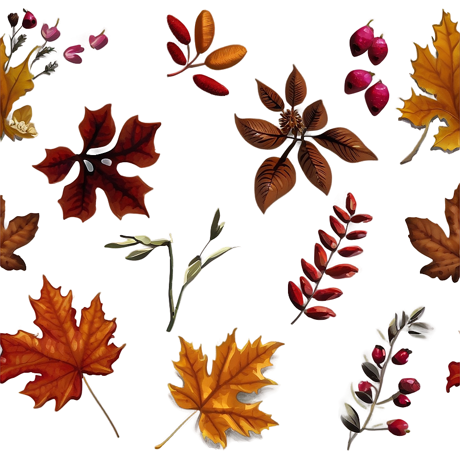 Autumn Blooms Png Uff92