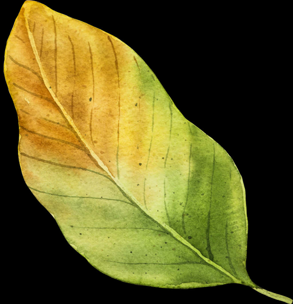 Yellow Autumn Leaf Vector - Tree, HD Png Download PNG with transparent background