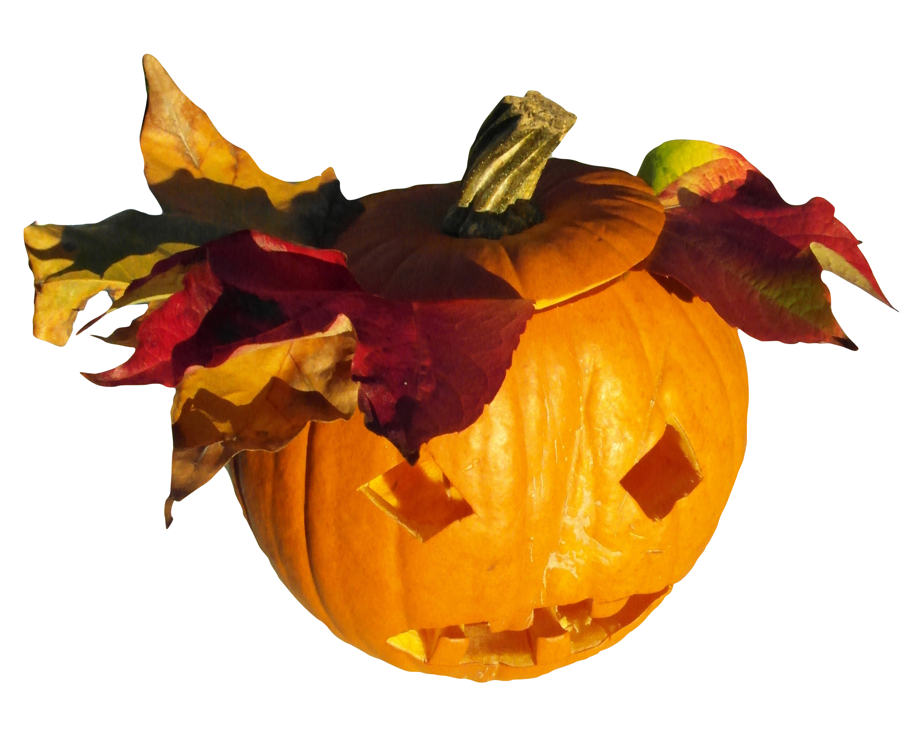 Autumn Halloween Pumpkin Carving PNG with transparent background