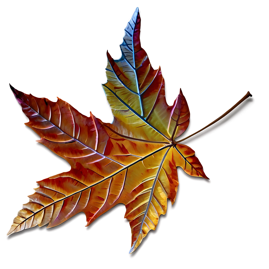 Autumn Leaf Png 90