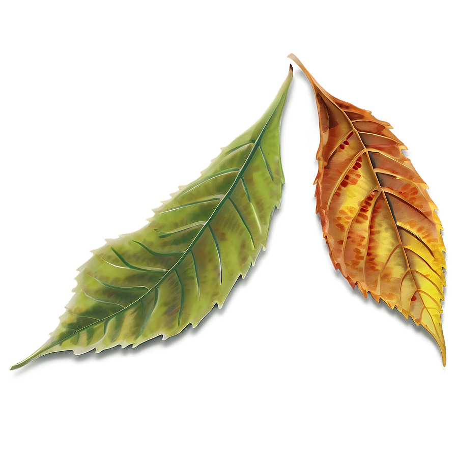 Autumn Leaf PNG opi PNG with transparent background