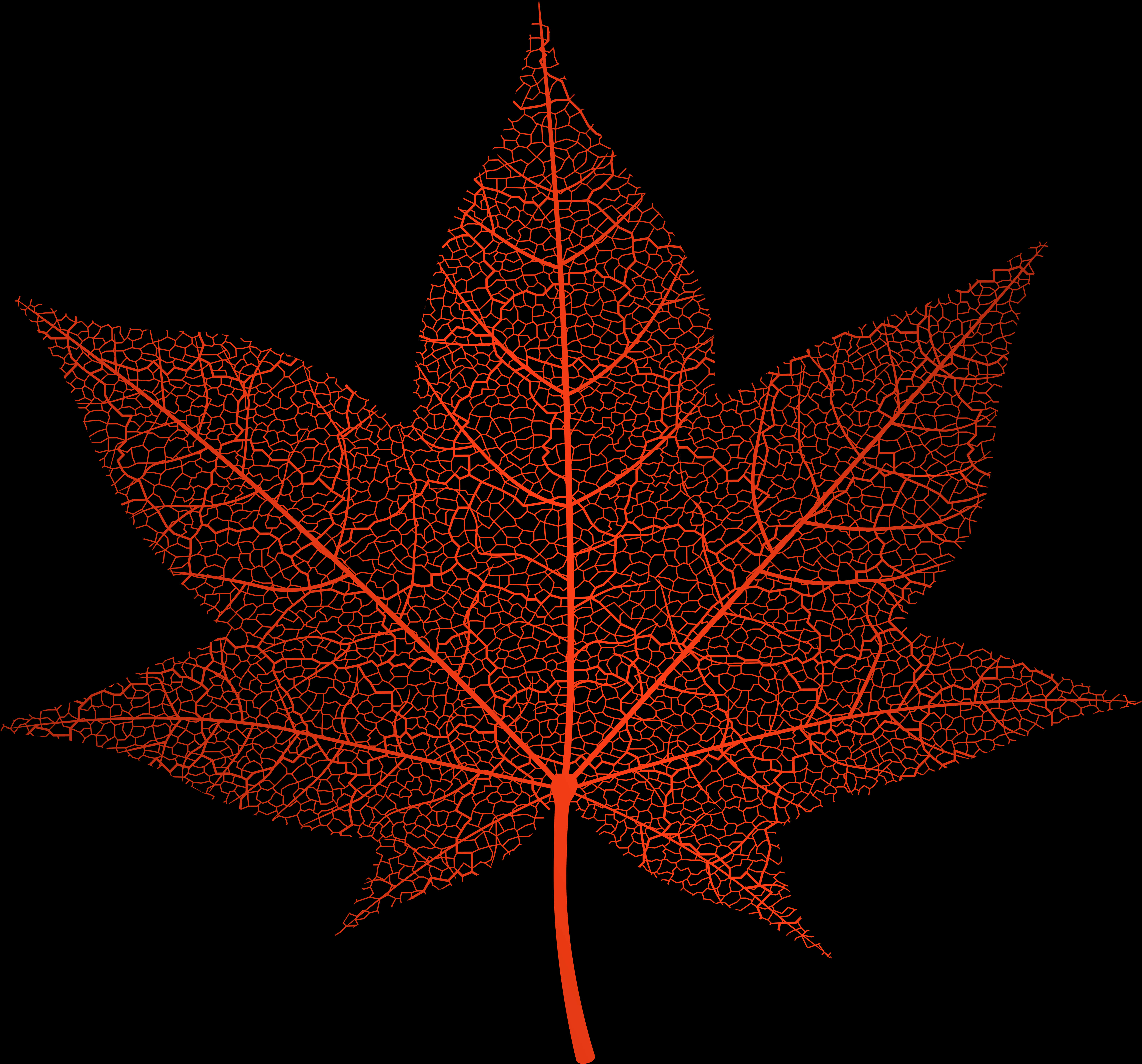 Transparent Red Autumn Leaf Png Clip Art Image - Transparent Autumn Leaves, Png Download PNG with transparent background