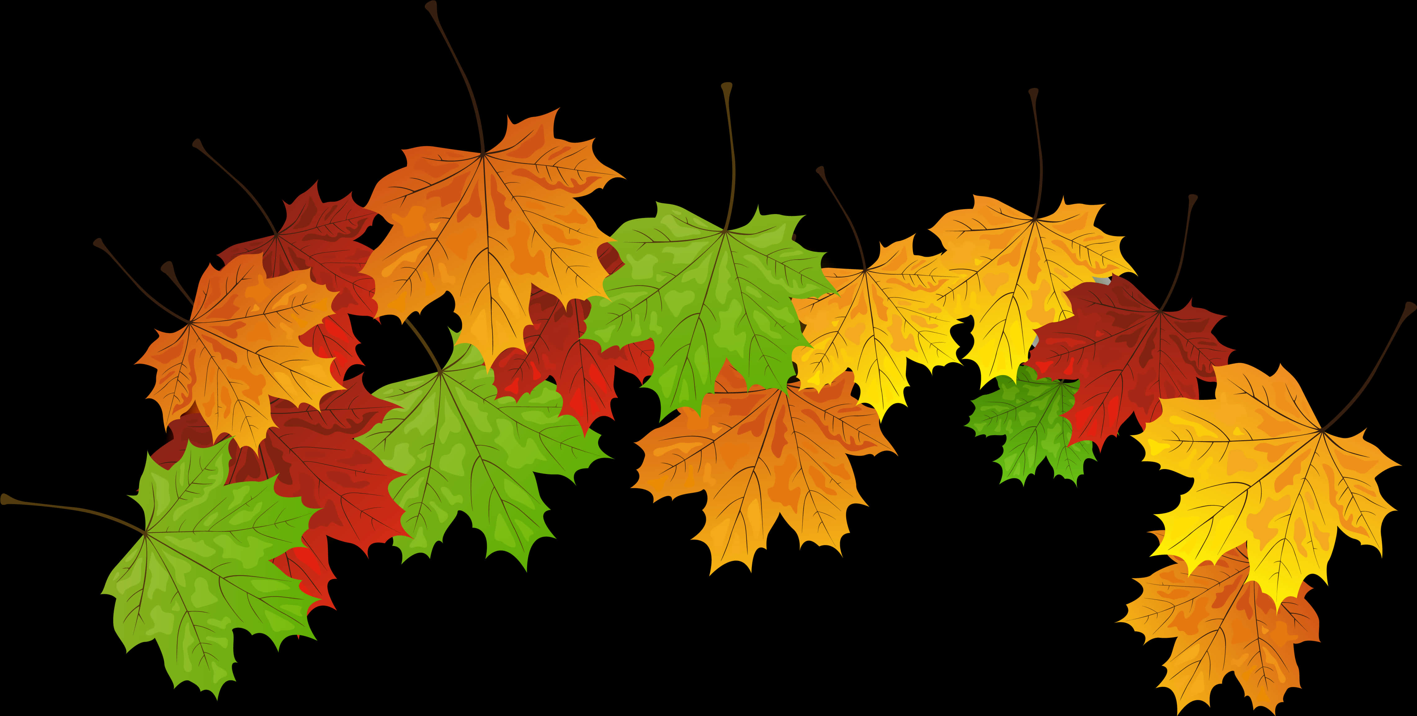 Autumn_ Leaves_ Against_ Black_ Background