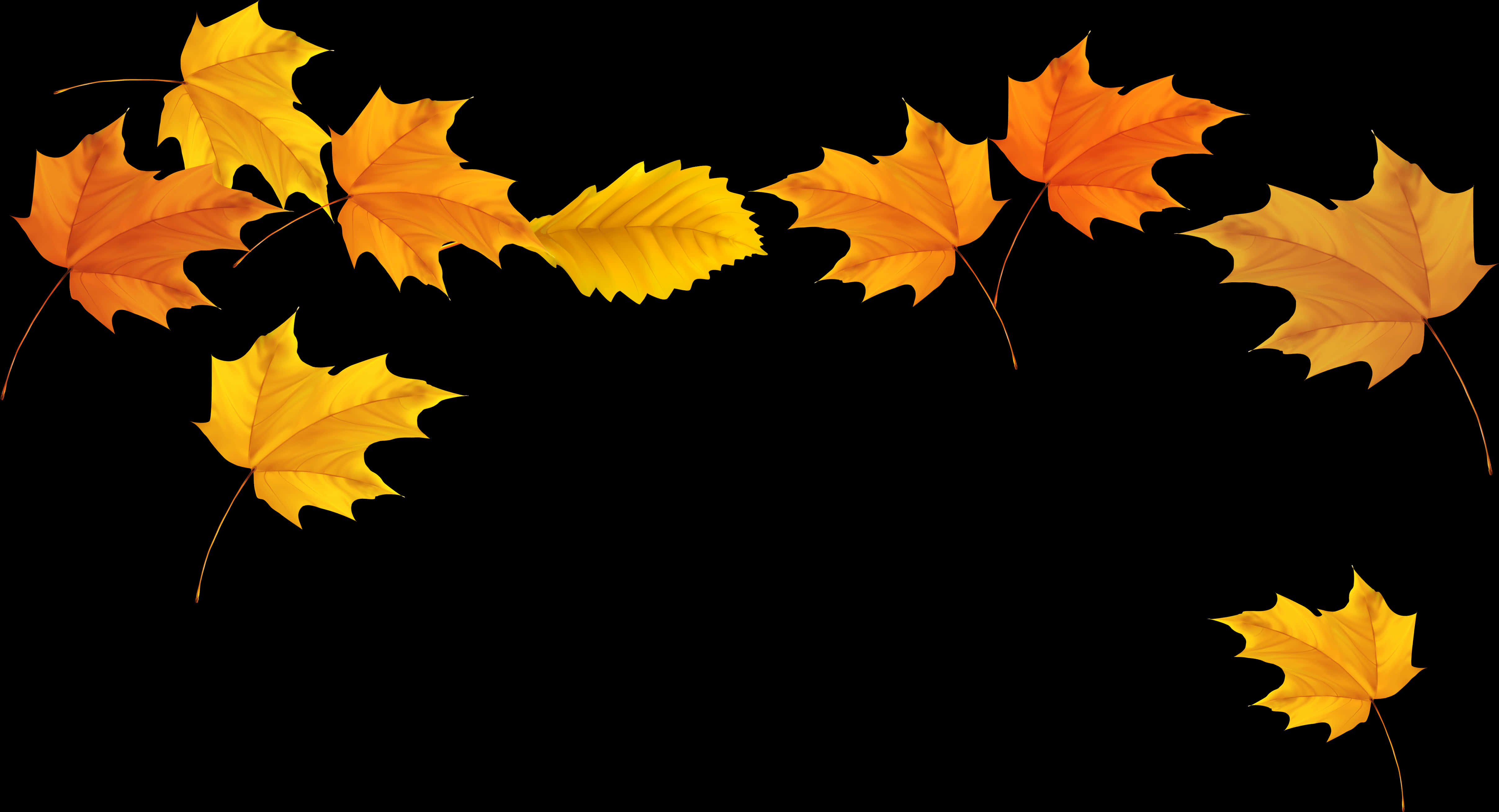 Autumn_ Leaves_ Against_ Black_ Background.jpg PNG with transparent background