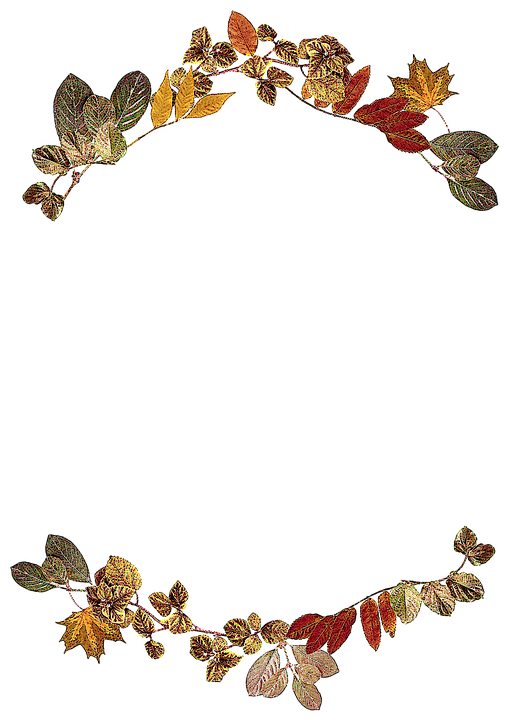 Autumn_ Leaves_ Arch_ Frame PNG with transparent background
