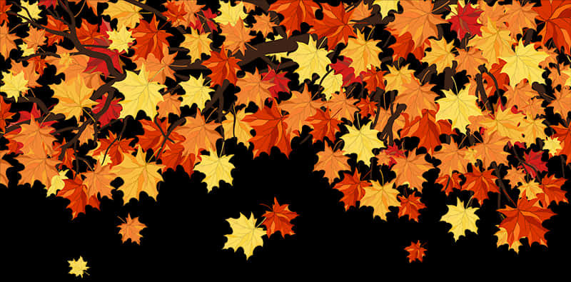 Autumn_ Leaves_ Background PNG with transparent background