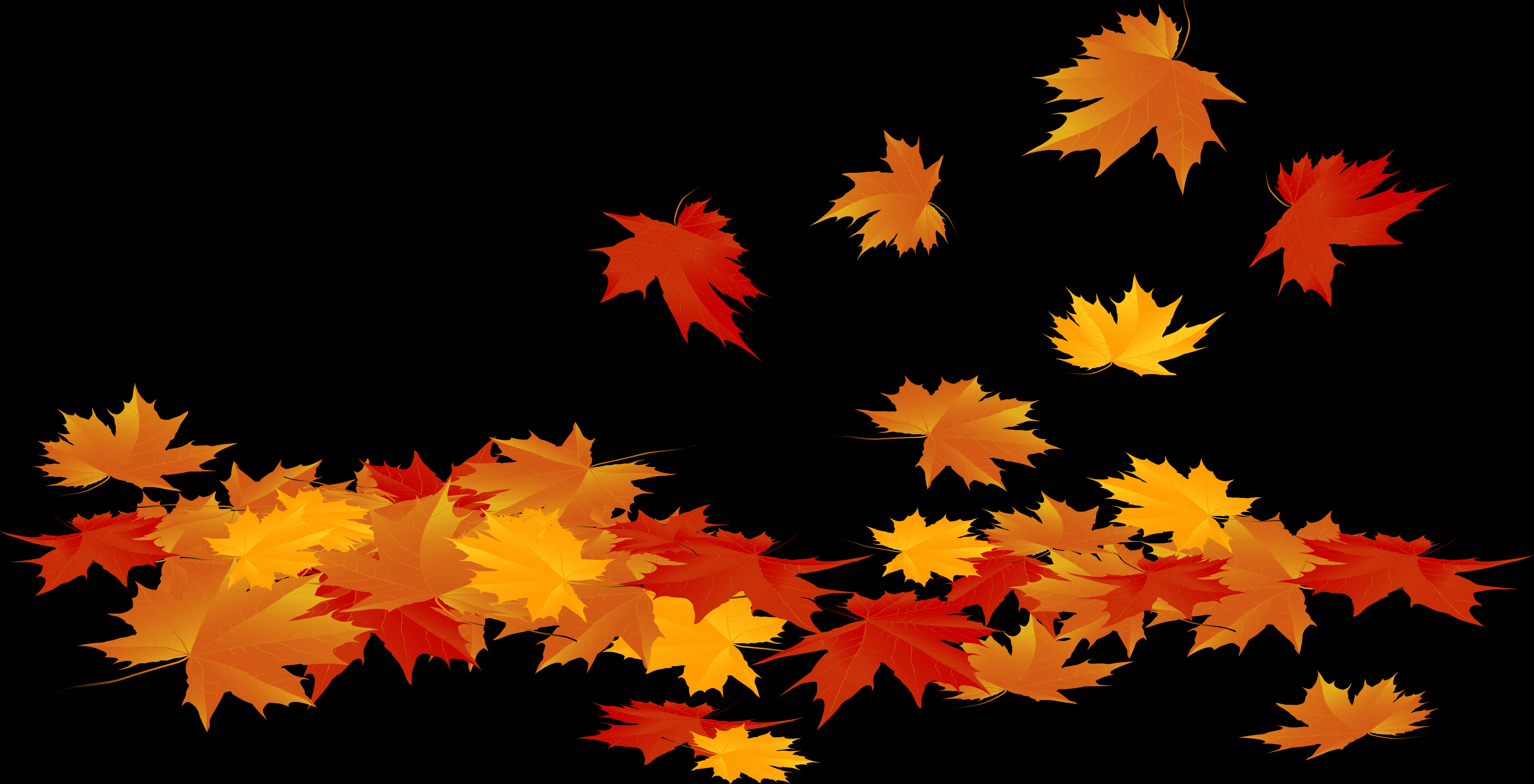 Transparent Fall Leaf Clipart No Background - Fall Leaves Png Transparent, Png Download PNG with transparent background