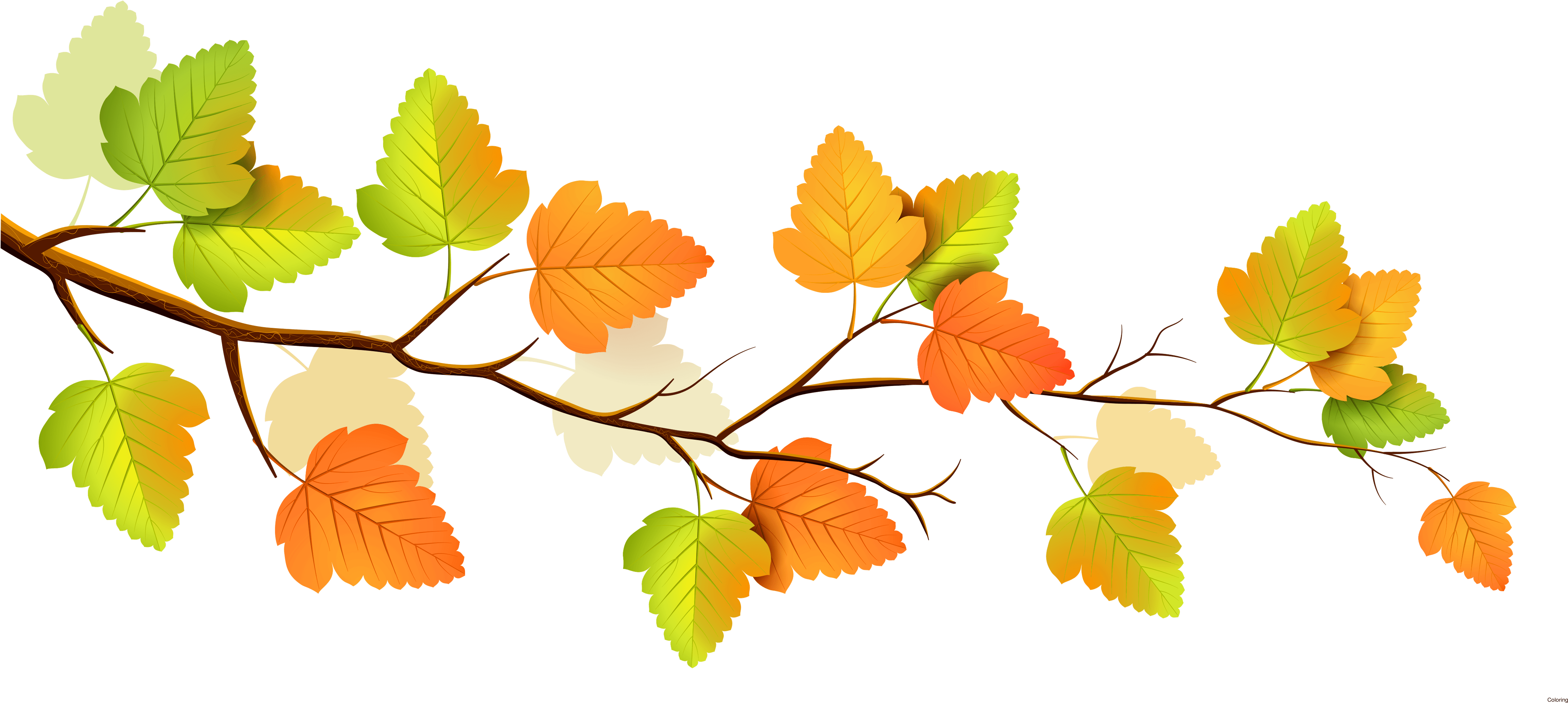 Autumn Leaves Branch Illustration PNG with transparent background