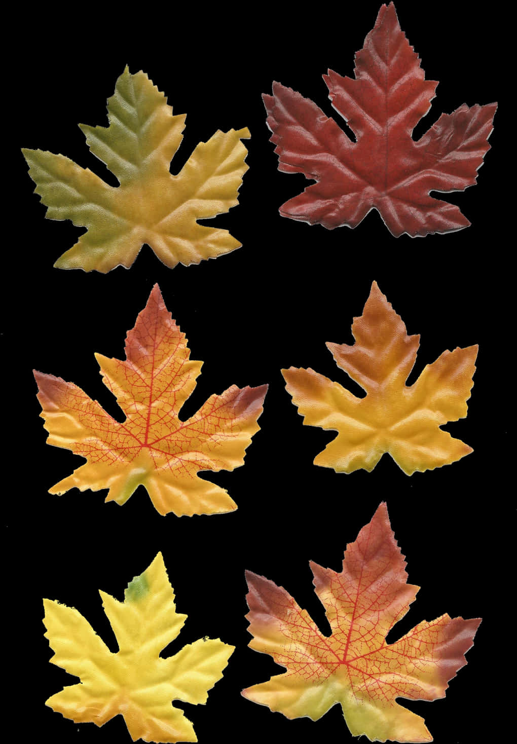 Autumn_ Leaves_ Collection.jpg PNG with transparent background