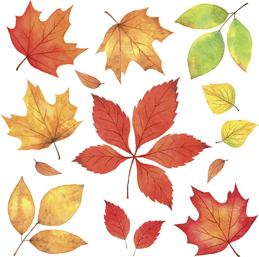 Autumn_ Leaves_ Collection.png