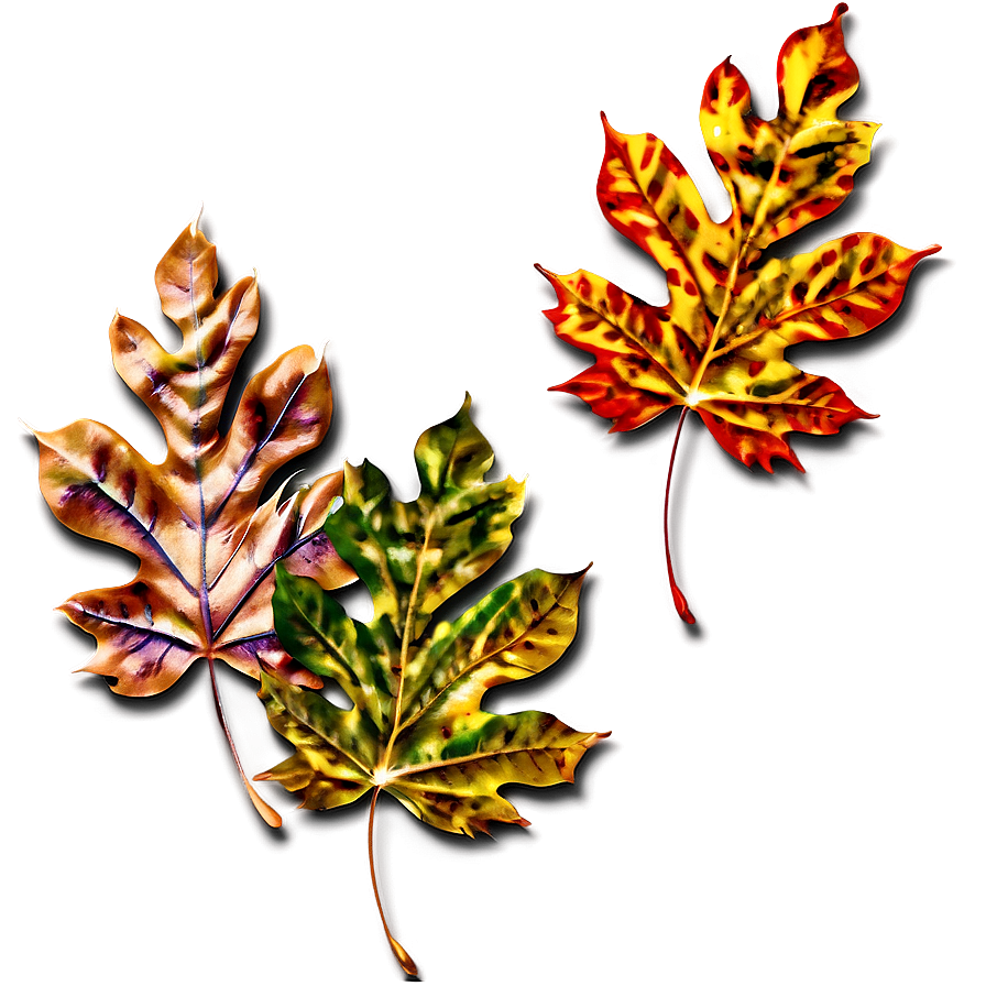 Autumn Leaves Effect Png 06122024