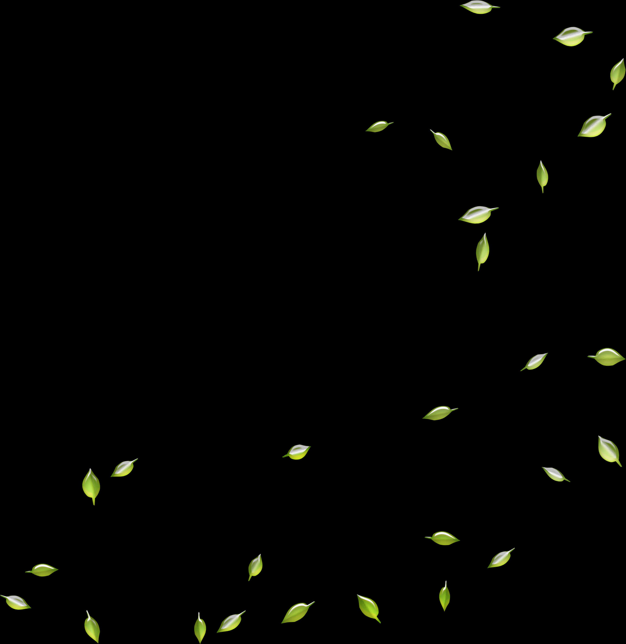 Google Images Search Engine Leaf Deciduous - Green Leaves Falling Png, Transparent Png PNG with transparent background