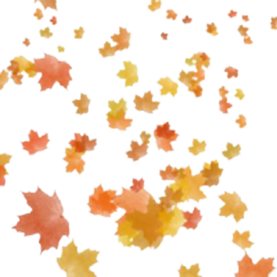 Autumn Leaves Falling Pattern