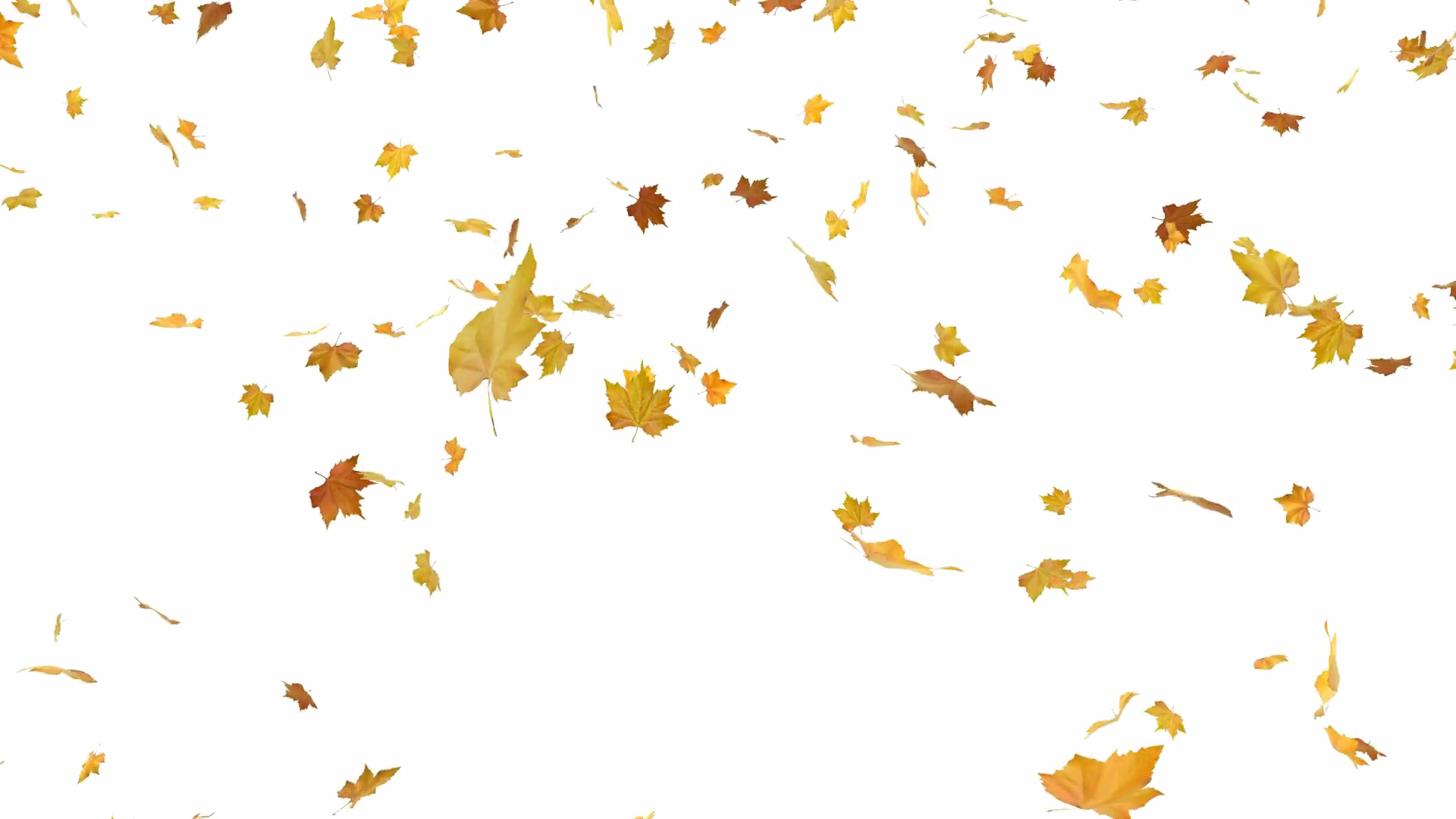 Autumn_ Leaves_ Falling_ Pattern