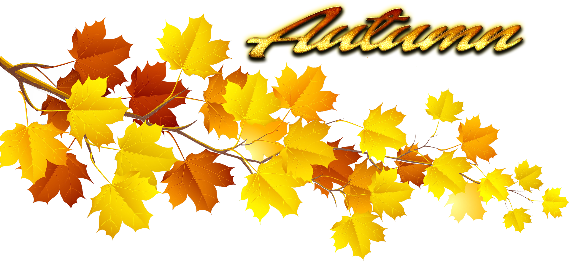 Autumn Leaves Graphic