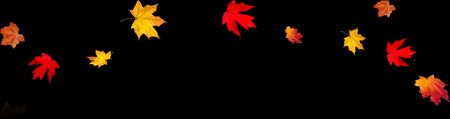 Autumn_ Leaves_ Panorama PNG with transparent background