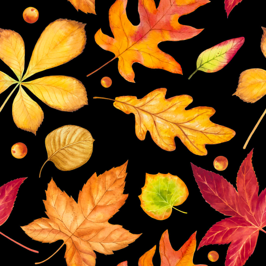 Autumn Leaves Pattern Black Background PNG with transparent background