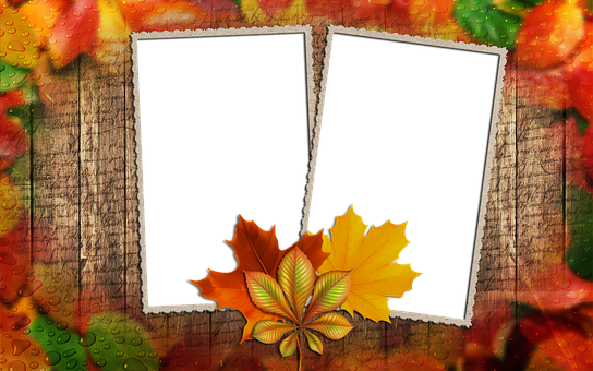 Autumn Leaves Photo Frames