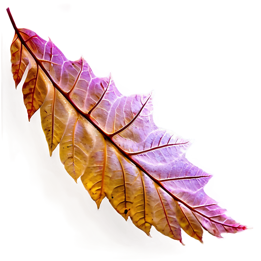 Autumn Leaves PNG 44 PNG with transparent background