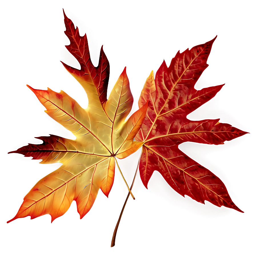 Autumn Leaves PNG 5 PNG with transparent background