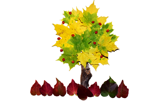 Autumn Leaves Reflection Art PNG with transparent background