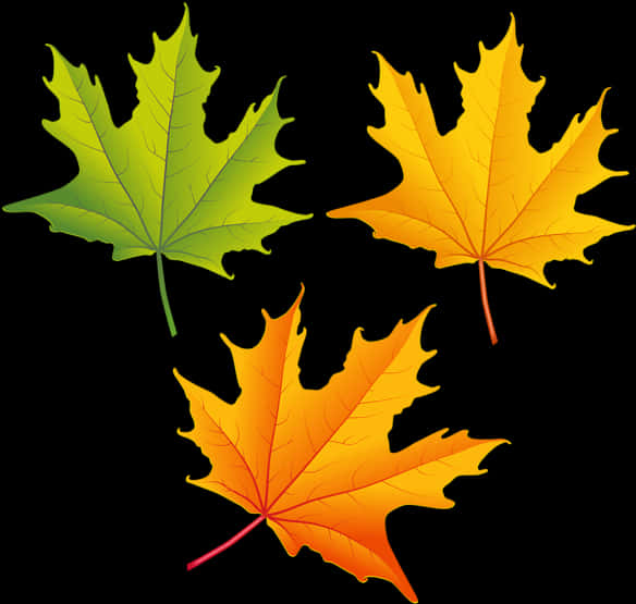 Falling Autumn Leaves Png High-quality Image - Fall Leaves Free Clip Art, Transparent Png PNG with transparent background